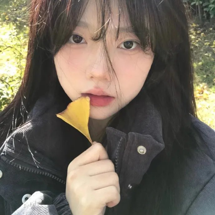 鸿运当头