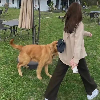 罪与错