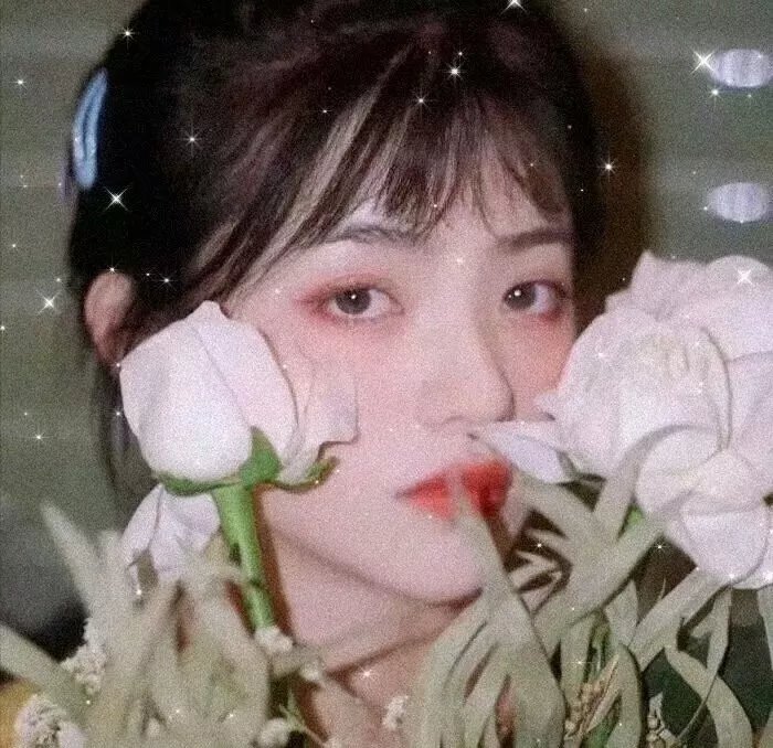 那朵花的名字叫白兰
